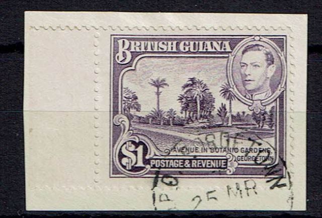 Image of British Guiana/Guyana SG 317a FU British Commonwealth Stamp